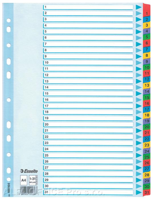 Rozdružovač A4 kartonový Esselte Mylar - barevný  / 1 - 31