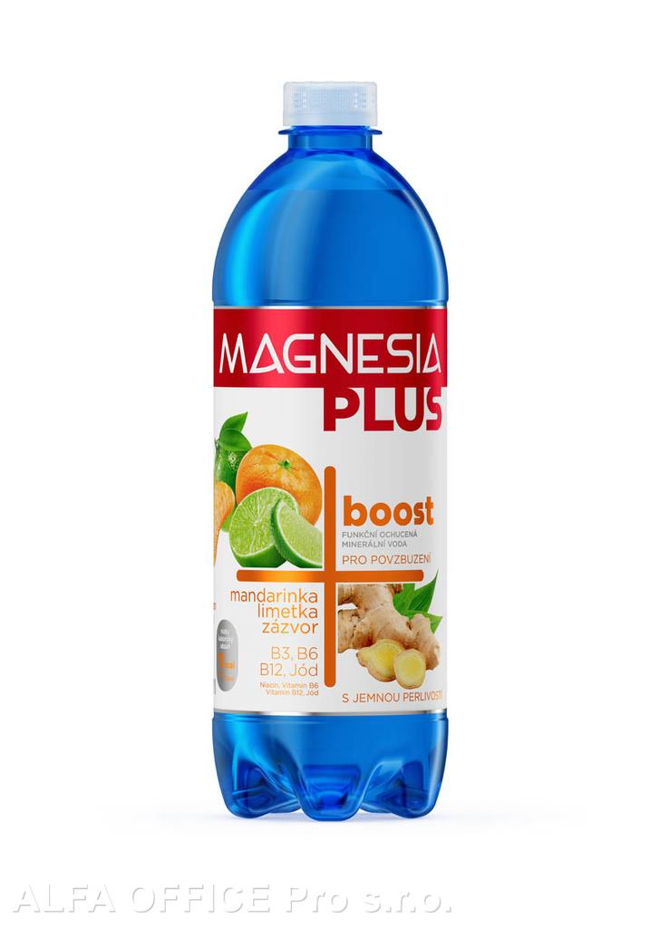 Magnesia Plus - Boost / 700 ml
