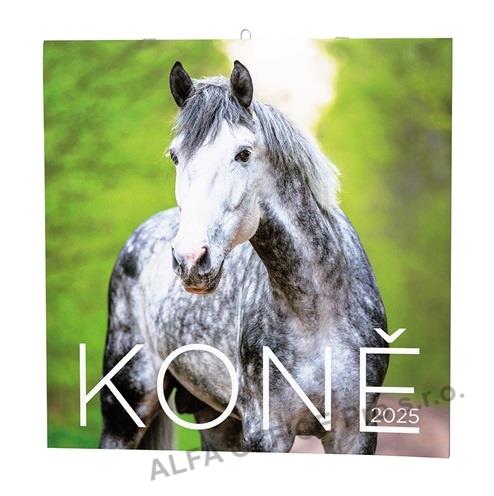 Kalendář nástěnný poznámkový - Koně / BNL3